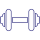 Wellness Fitness and Sports