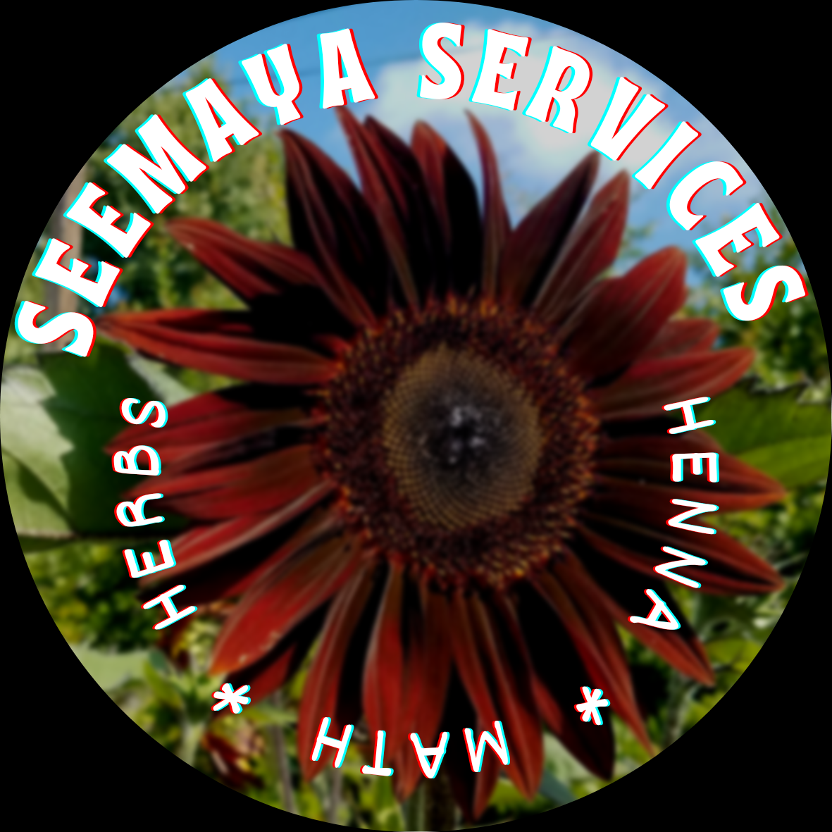 Seemaya Services