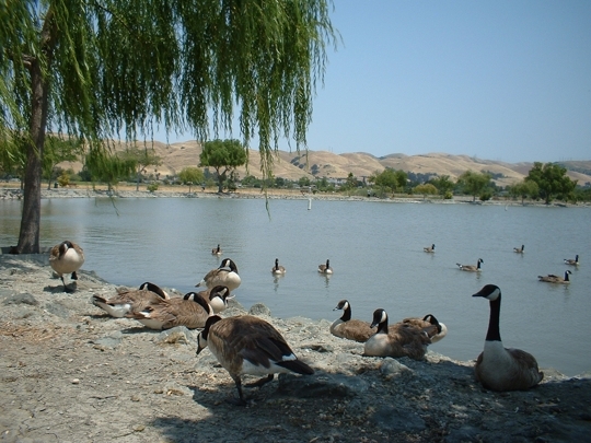 LakeElizabeth-Park